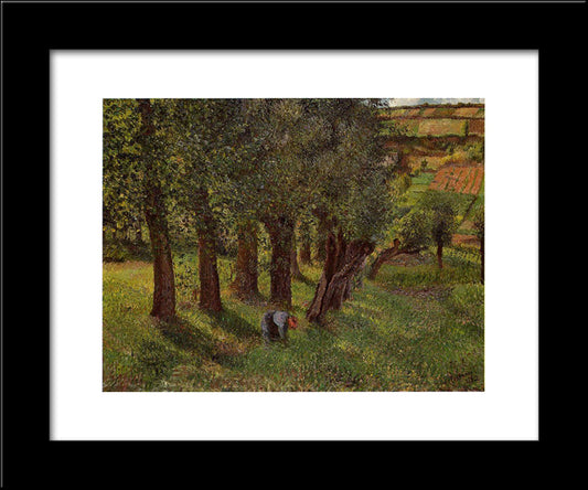 The Cabbage Of Pontoise 20x24 Black Modern Wood Framed Art Print Poster by Pissarro, Camille