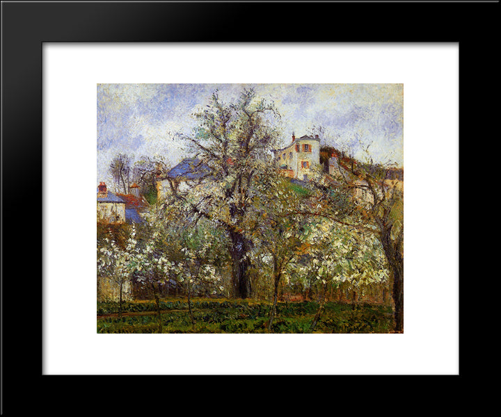 The Vegetable Garden With Trees In Blossom, Spring, Pontoise 20x24 Black Modern Wood Framed Art Print Poster by Pissarro, Camille
