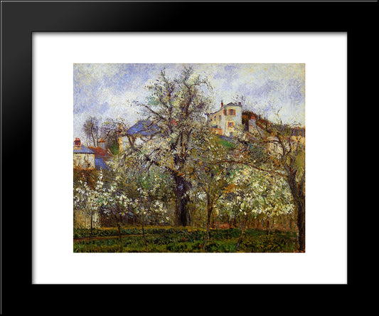 The Vegetable Garden With Trees In Blossom, Spring, Pontoise 20x24 Black Modern Wood Framed Art Print Poster by Pissarro, Camille