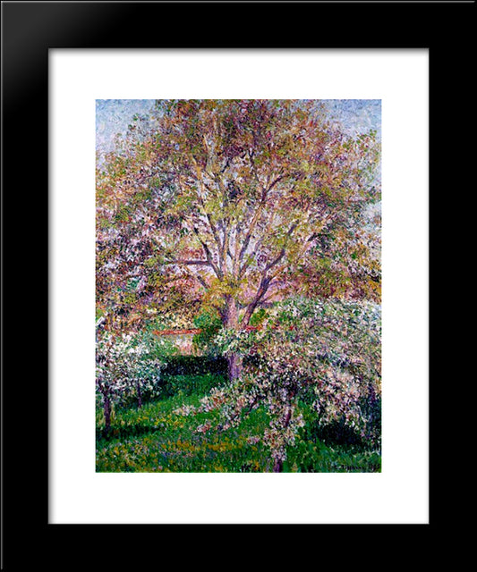 Wallnut And Apple Trees In Bloom At Eragny 20x24 Black Modern Wood Framed Art Print Poster by Pissarro, Camille