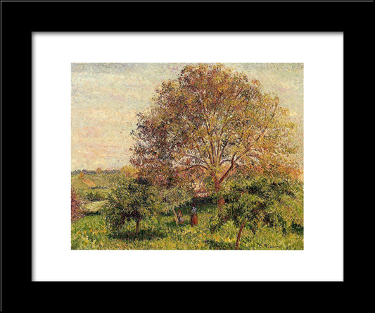 Walnut Tree In Spring 20x24 Black Modern Wood Framed Art Print Poster by Pissarro, Camille