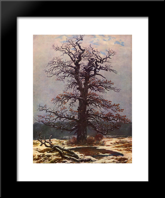 Oak Tree In The Snow 20x24 Black Modern Wood Framed Art Print Poster by Friedrich, Caspar David