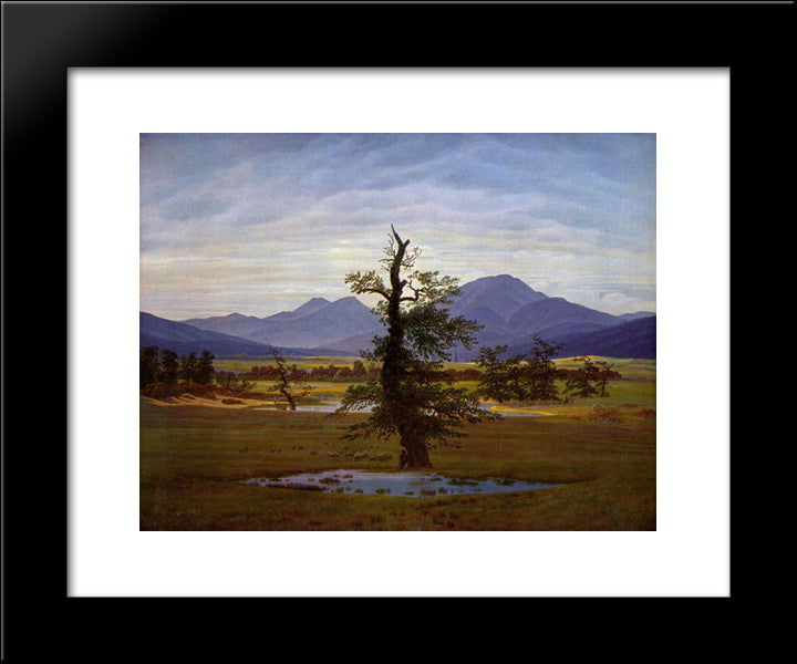 Solitary Tree 20x24 Black Modern Wood Framed Art Print Poster by Friedrich, Caspar David