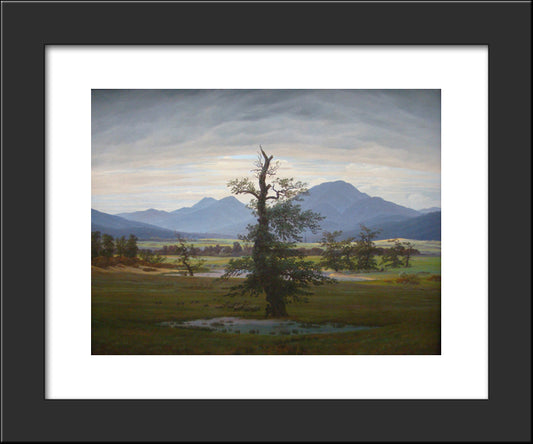 Tree 20x24 Black Modern Wood Framed Art Print Poster by Friedrich, Caspar David