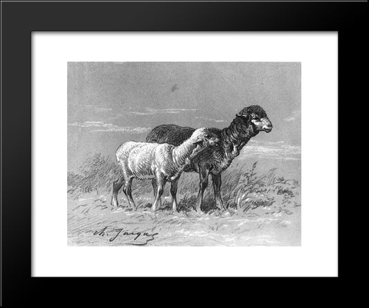 Ewe And Lamb 20x24 Black Modern Wood Framed Art Print Poster by Jacque, Charles