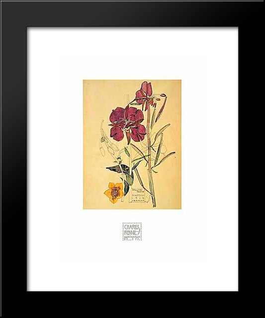 Flowers 20x24 Black Modern Wood Framed Art Print Poster by Mackintosh, Charles Rennie