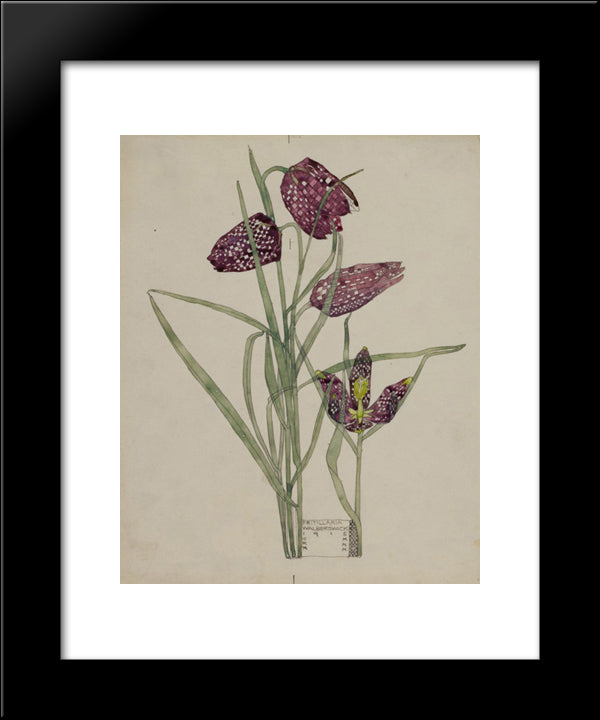 Fritillaria 20x24 Black Modern Wood Framed Art Print Poster by Mackintosh, Charles Rennie