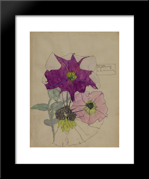 Petunia, Walberswick 20x24 Black Modern Wood Framed Art Print Poster by Mackintosh, Charles Rennie