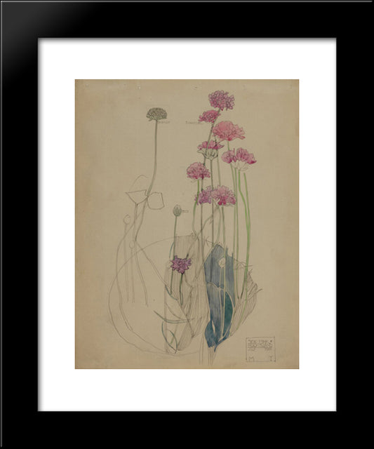 Sea Pink 20x24 Black Modern Wood Framed Art Print Poster by Mackintosh, Charles Rennie