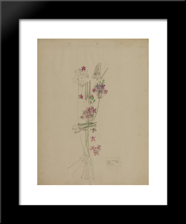 Stork'S-Bill, Holy Island 20x24 Black Modern Wood Framed Art Print Poster by Mackintosh, Charles Rennie