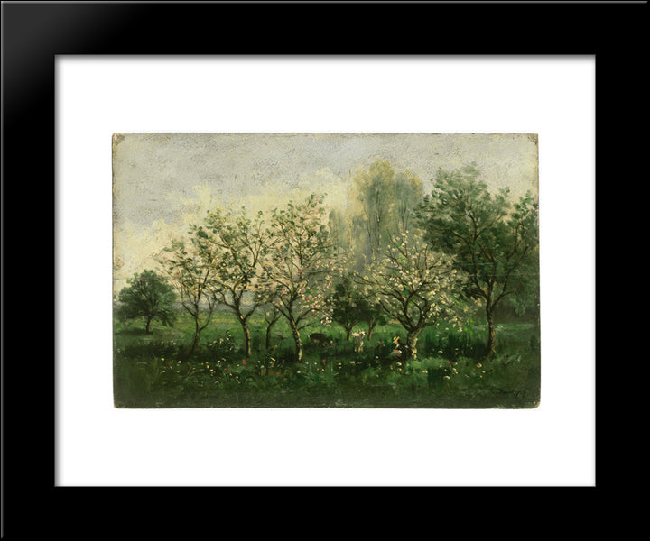 Apple Trees In Blossom 20x24 Black Modern Wood Framed Art Print Poster by Daubigny, Charles Francois