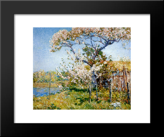 Apple Trees In Bloom, Old Lyme 20x24 Black Modern Wood Framed Art Print Poster by Hassam, Childe