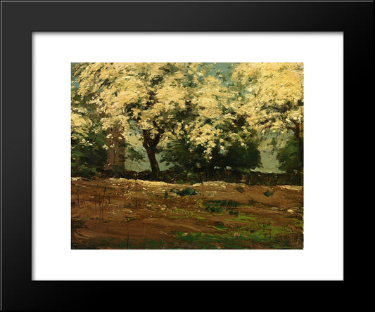 Blossoms 20x24 Black Modern Wood Framed Art Print Poster by Hassam, Childe