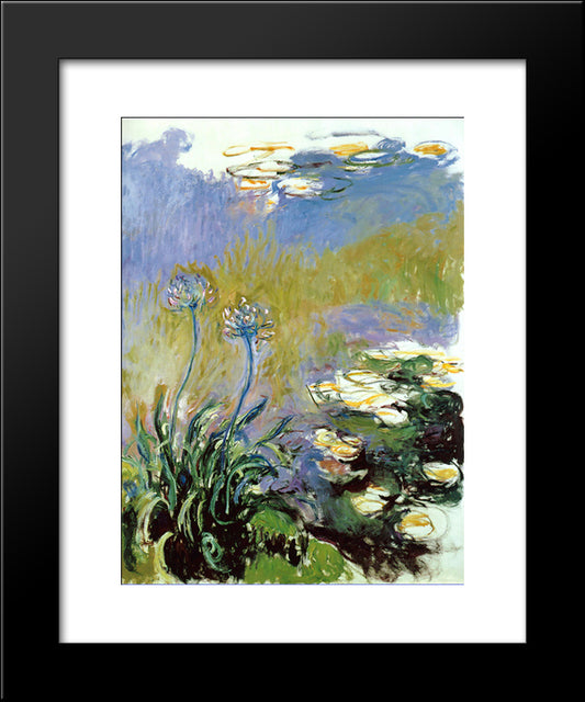 Agapanthus 20x24 Black Modern Wood Framed Art Print Poster by Monet, Claude
