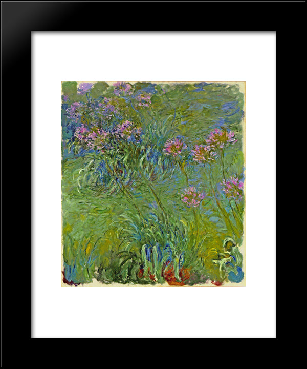 Agapanthus Flowers 20x24 Black Modern Wood Framed Art Print Poster by Monet, Claude