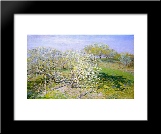 Apple Trees In Bloom 20x24 Black Modern Wood Framed Art Print Poster by Monet, Claude