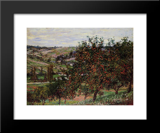 Apple Trees Near Vetheuil 20x24 Black Modern Wood Framed Art Print Poster by Monet, Claude