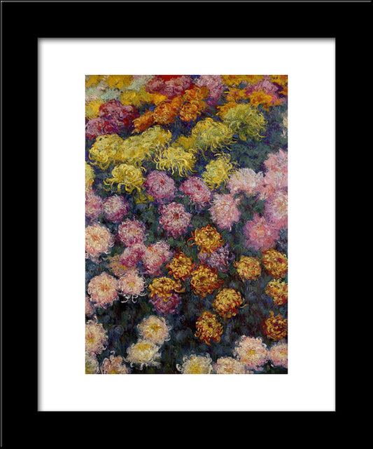 Bed Of Chrysanthemums 20x24 Black Modern Wood Framed Art Print Poster by Monet, Claude