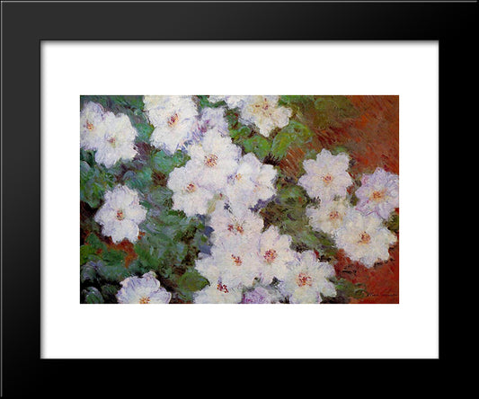 Clematis 20x24 Black Modern Wood Framed Art Print Poster by Monet, Claude