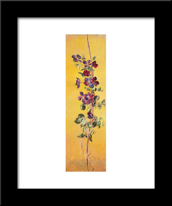 Cobeas 20x24 Black Modern Wood Framed Art Print Poster by Monet, Claude