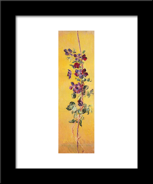 Cobeas 20x24 Black Modern Wood Framed Art Print Poster by Monet, Claude