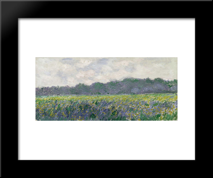 Field Of Yellow Irises At Giverny 20x24 Black Modern Wood Framed Art Print Poster by Monet, Claude
