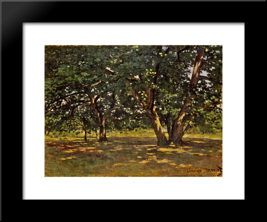 Fontainebleau Forest 20x24 Black Modern Wood Framed Art Print Poster by Monet, Claude