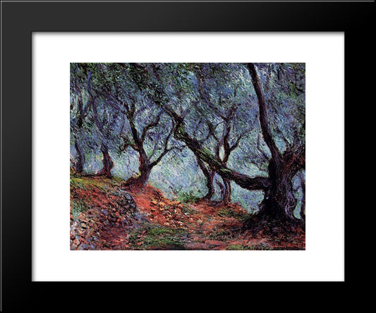 Grove Of Olive Trees In Bordighera 20x24 Black Modern Wood Framed Art Print Poster by Monet, Claude