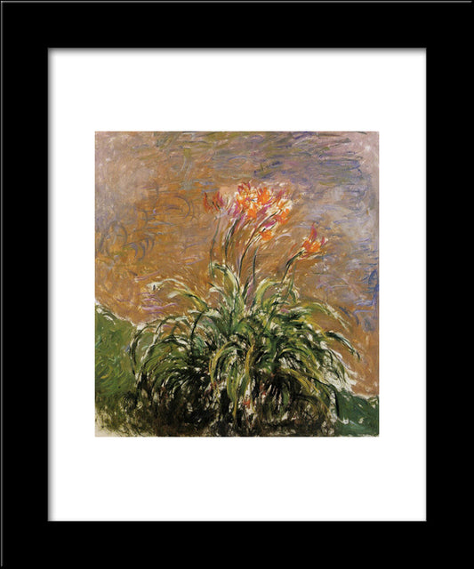 Hamerocallis 20x24 Black Modern Wood Framed Art Print Poster by Monet, Claude