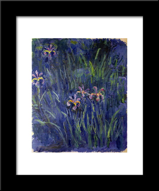 Irises 2 20x24 Black Modern Wood Framed Art Print Poster by Monet, Claude