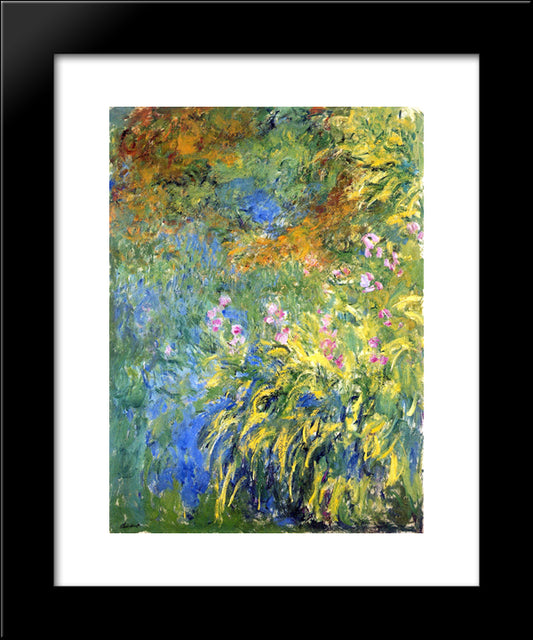 Irises 3 20x24 Black Modern Wood Framed Art Print Poster by Monet, Claude