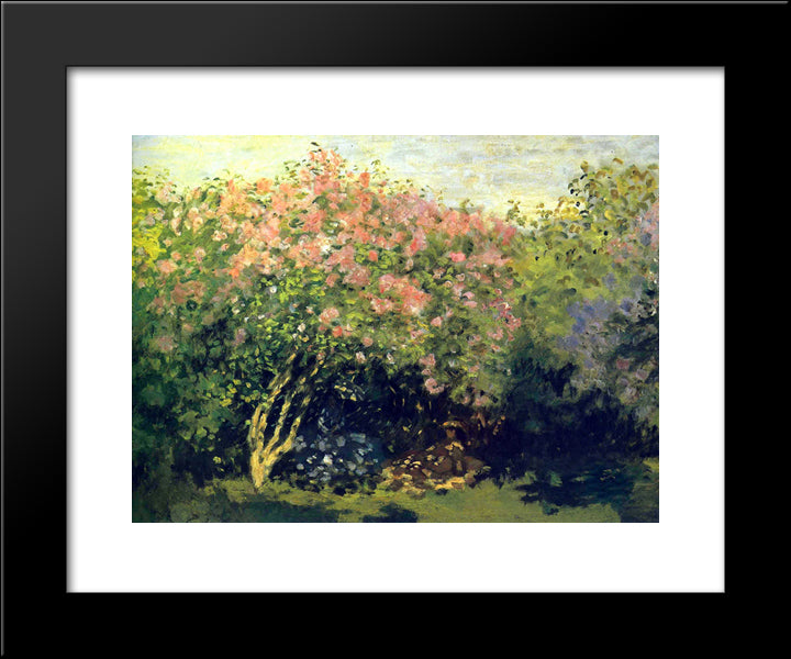 Lilacs In The Sun 20x24 Black Modern Wood Framed Art Print Poster by Monet, Claude