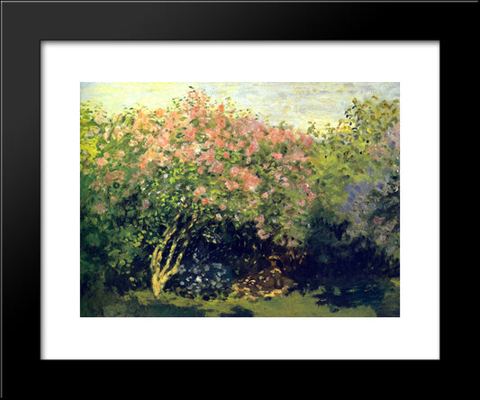 Lilacs In The Sun 20x24 Black Modern Wood Framed Art Print Poster by Monet, Claude