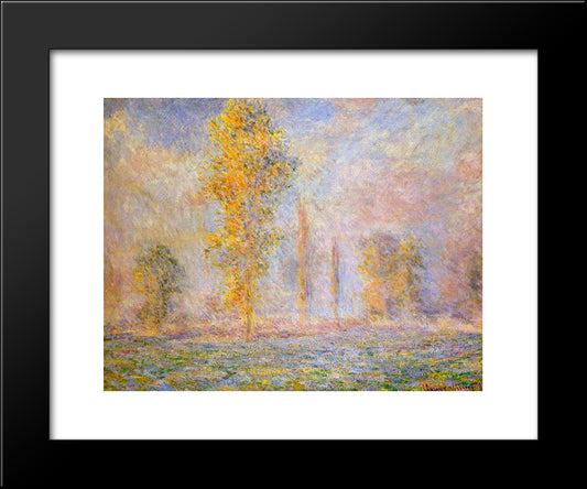Meadow At Giverny 20x24 Black Modern Wood Framed Art Print Poster by Monet, Claude