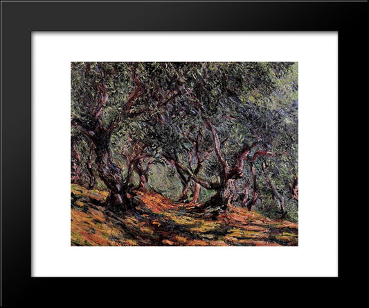 Olive Trees In Bordigher 20x24 Black Modern Wood Framed Art Print Poster by Monet, Claude