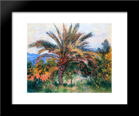 Palm Tree At Bordighera 20x24 Black Modern Wood Framed Art Print Poster by Monet, Claude