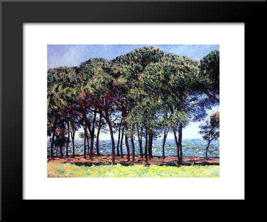 Pine Trees, Cap D'Antibes 20x24 Black Modern Wood Framed Art Print Poster by Monet, Claude