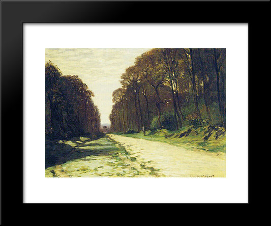 Road In A Forest Fontainebleau 20x24 Black Modern Wood Framed Art Print Poster by Monet, Claude
