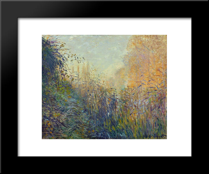 Study Rushes At Argenteuil 20x24 Black Modern Wood Framed Art Print Poster by Monet, Claude
