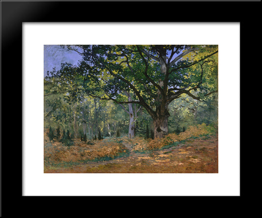 The Bodmer Oak, Fontainebleau 20x24 Black Modern Wood Framed Art Print Poster by Monet, Claude