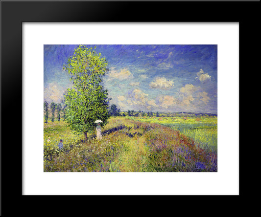 The Summer, Poppy Field 20x24 Black Modern Wood Framed Art Print Poster by Monet, Claude