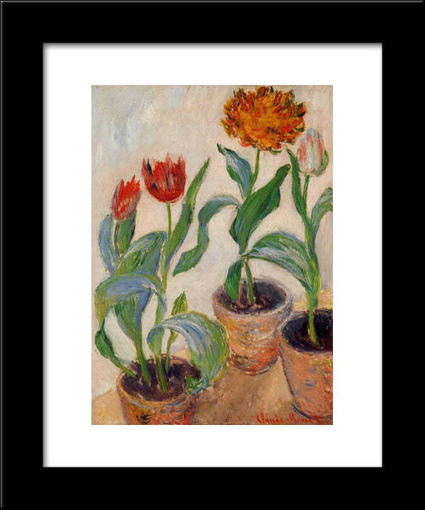 Three Pots Of Tulips 20x24 Black Modern Wood Framed Art Print Poster by Monet, Claude