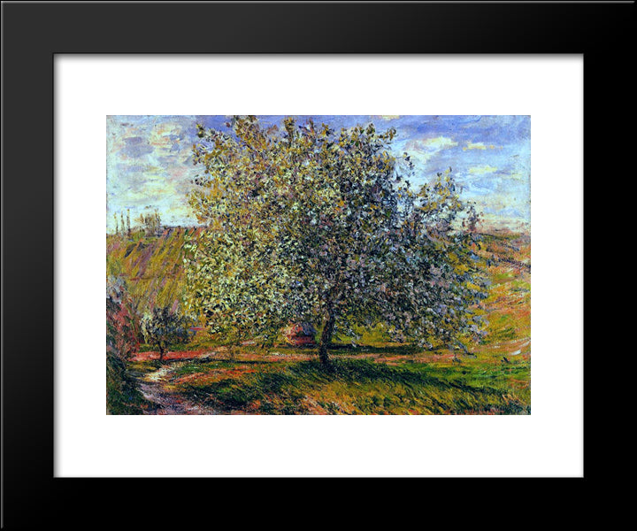 Tree In Flower Near Vetheuil 20x24 Black Modern Wood Framed Art Print Poster by Monet, Claude