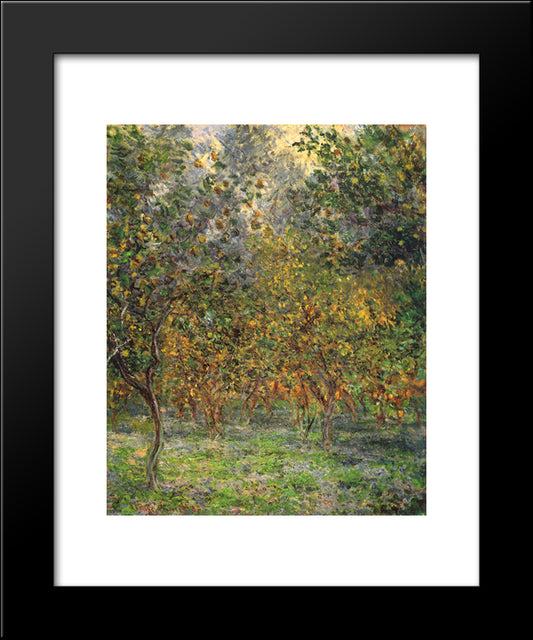Under The Lemon Trees 20x24 Black Modern Wood Framed Art Print Poster by Monet, Claude