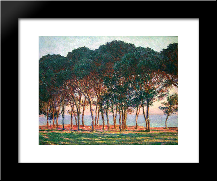 Under The Pine Trees At The End Of The Day 20x24 Black Modern Wood Framed Art Print Poster by Monet, Claude