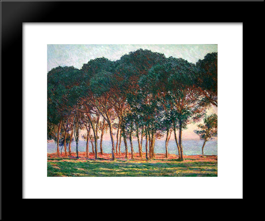 Under The Pine Trees At The End Of The Day 20x24 Black Modern Wood Framed Art Print Poster by Monet, Claude