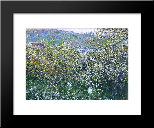 Vetheuil, Flowering Plum Trees 20x24 Black Modern Wood Framed Art Print Poster by Monet, Claude