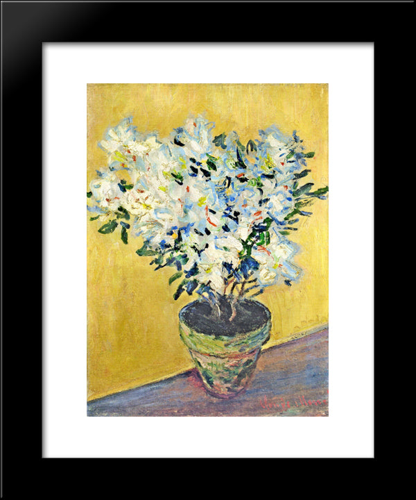White Azaleas In A Pot 20x24 Black Modern Wood Framed Art Print Poster by Monet, Claude