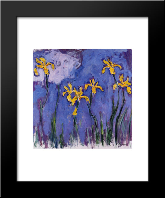 Yellow Irises With Pink Cloud 20x24 Black Modern Wood Framed Art Print Poster by Monet, Claude