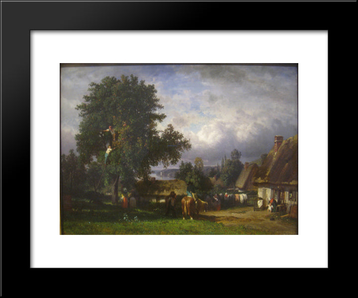 Apple Harvest In Normandy 20x24 Black Modern Wood Framed Art Print Poster by Troyon, Constant